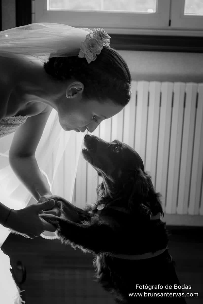 novia-perro-brunsantervas-fotografo-bodas-galicia