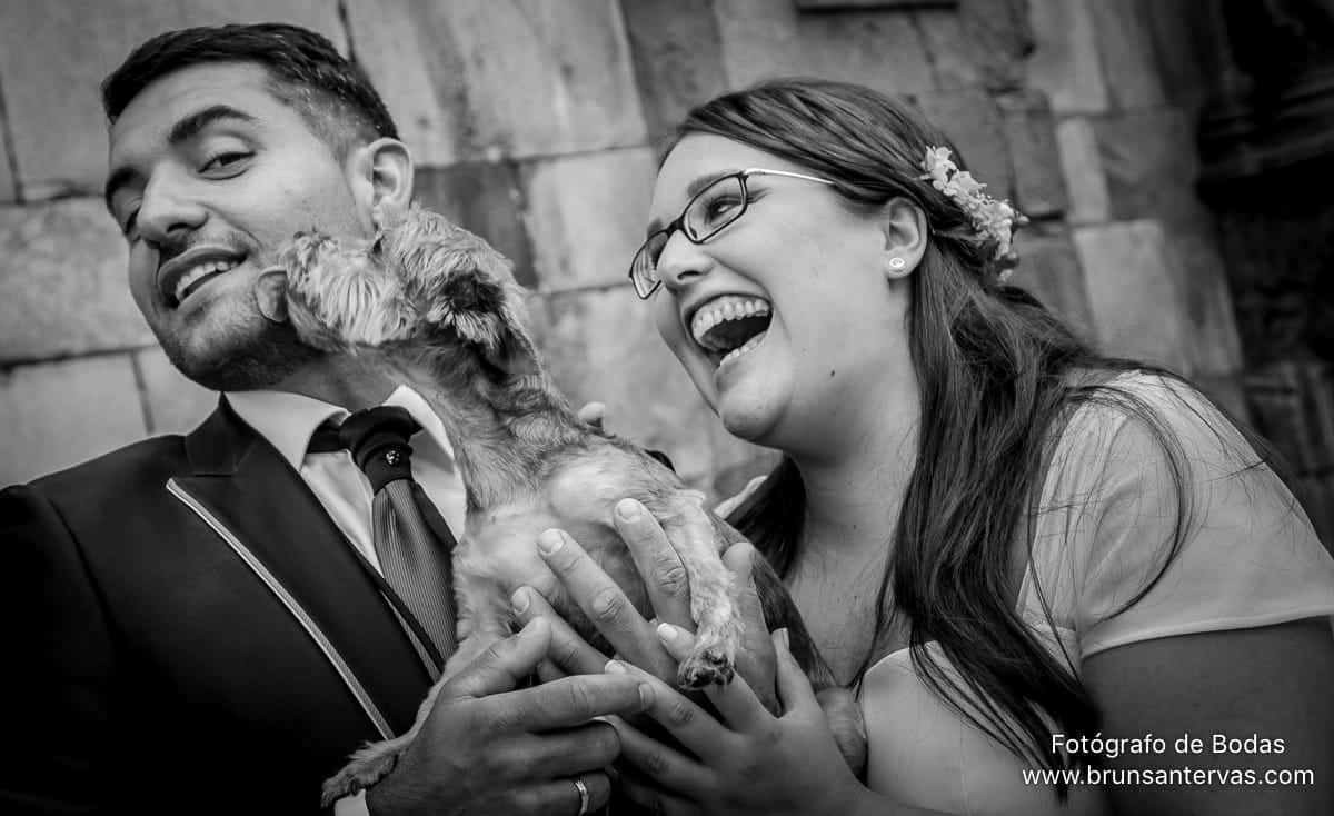 pareja-novios-boda-perro-mascota-brunsantervas-fotografo-bodas-galicia